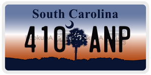 410ANP  license plate in SC