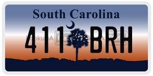 411BRH  license plate in SC