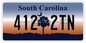 4122TN license plate in South Carolina