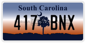 417BNX license plate in South Carolina