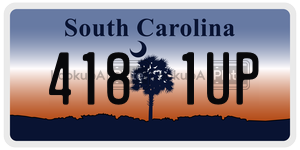 4181UP  license plate in SC