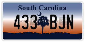 433BJN  license plate in SC