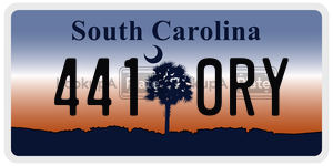 4410RY license plate in South Carolina