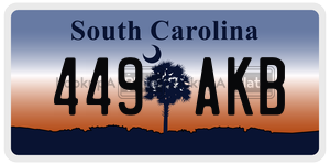 449AKB  license plate in SC