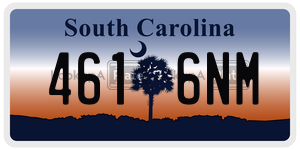 4616NM  license plate in SC