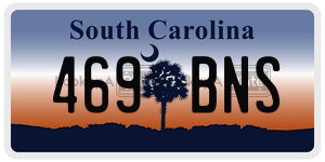 469BNS  license plate in SC
