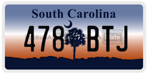 478BTJ  license plate in SC