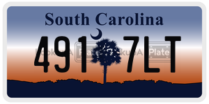 4917LT  license plate in SC