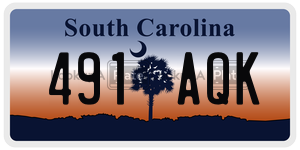 491AQK license plate in South Carolina