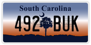 492BUK license plate in South Carolina
