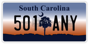 501ANY  license plate in SC
