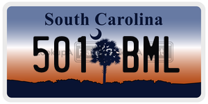 501BML license plate in South Carolina