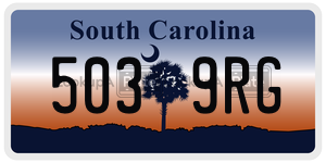 5039RG license plate in South Carolina