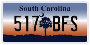 517BFS  license plate in SC