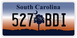 527BDI  license plate in SC