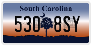 5308SY  license plate in SC