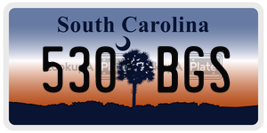 530BGS license plate in South Carolina