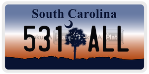 531ALL license plate in South Carolina