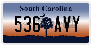 536AVY license plate in South Carolina
