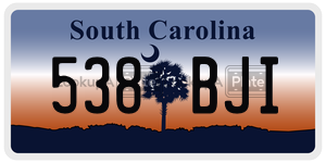 538BJI license plate in South Carolina