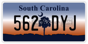 562DYJ  license plate in SC