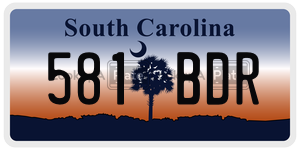 581BDR  license plate in SC