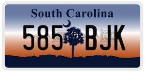 585BJK  license plate in SC