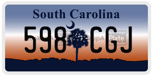 598CGJ  license plate in SC