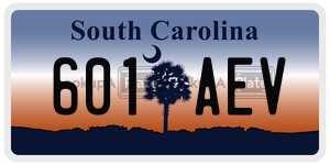 601AEV  license plate in SC
