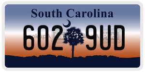 6029UD  license plate in SC