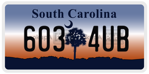 6034UB  license plate in SC
