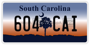 604CAI  license plate in SC