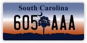 605AAA license plate in South Carolina