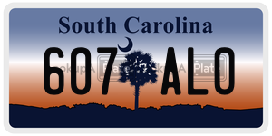 607ALO  license plate in SC