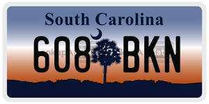 608BKN license plate in South Carolina