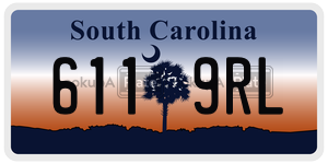 6119RL license plate in South Carolina