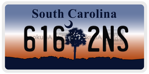 6162NS  license plate in SC