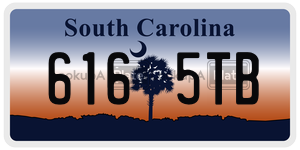 6165TB  license plate in SC