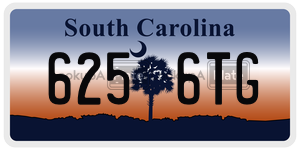 6256TG  license plate in SC