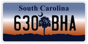 630BHA license plate in South Carolina