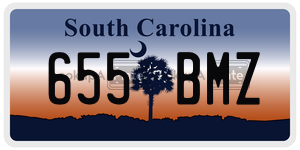 655BMZ license plate in South Carolina