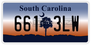 6613LW license plate in South Carolina