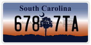 6787TA license plate in South Carolina