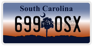 6990SX  license plate in SC