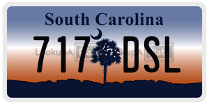 717DSL  license plate in SC