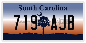 719AJB license plate in South Carolina