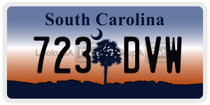 723DVW  license plate in SC