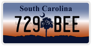 729BEE  license plate in SC