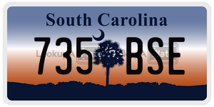 735BSE  license plate in SC