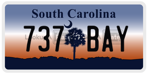 737BAY license plate in South Carolina